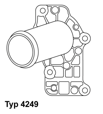 Termostat WAHLER 4249.71D