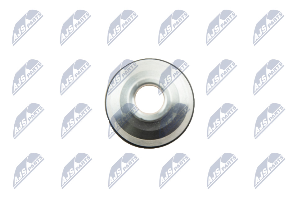 Wtryskiwacz NTY BWP-PL-000