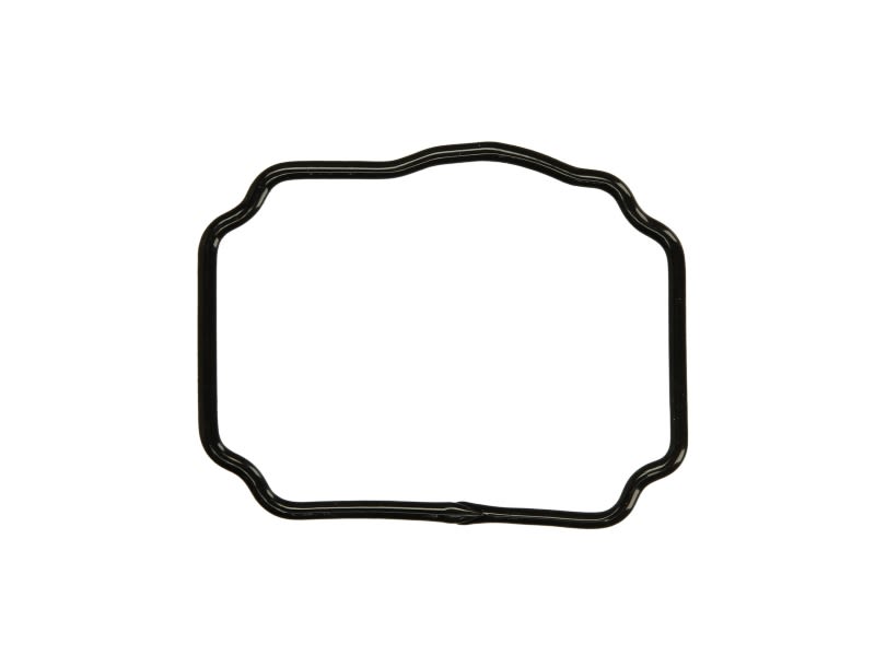 Uszczelka odmy DT SPARE PARTS 1.24174