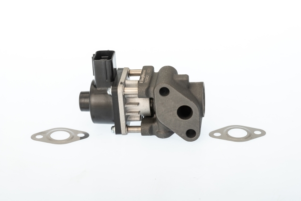 Zawór EGR BORGWARNER (WAHLER) 711024D/1