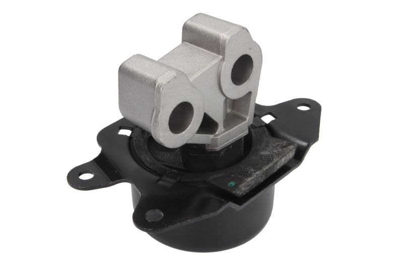 Poduszka silnika TEDGUM 00504657