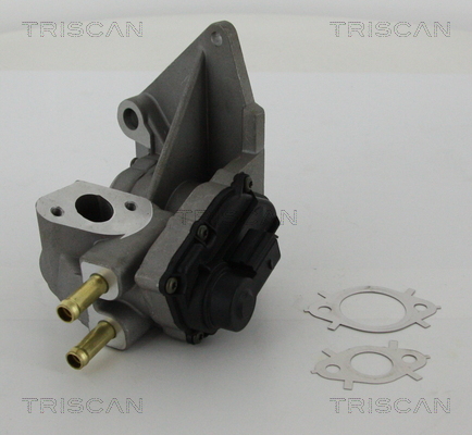 Zawór EGR TRISCAN 8813 29047