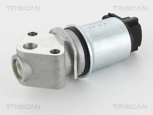 Zawór EGR TRISCAN 8813 29009