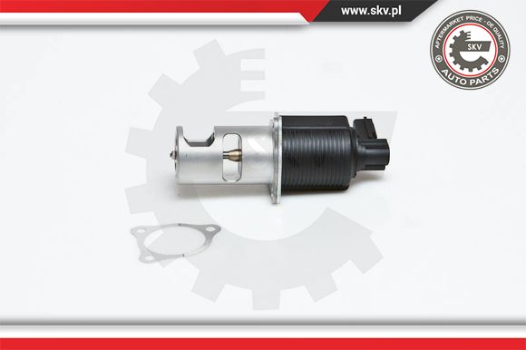Zawór EGR ESEN SKV 14SKV032
