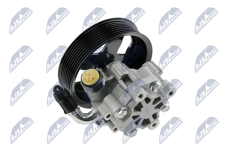 Pompa wspomagania NTY SPW-LR-007