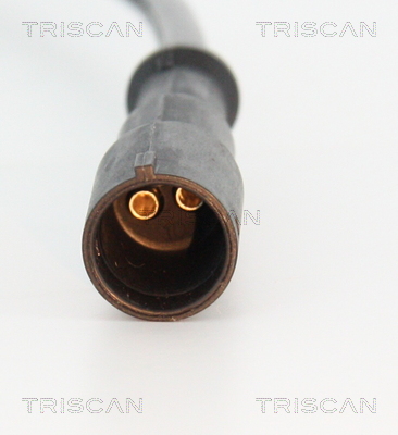 Czujnik ABS TRISCAN 8180 25219
