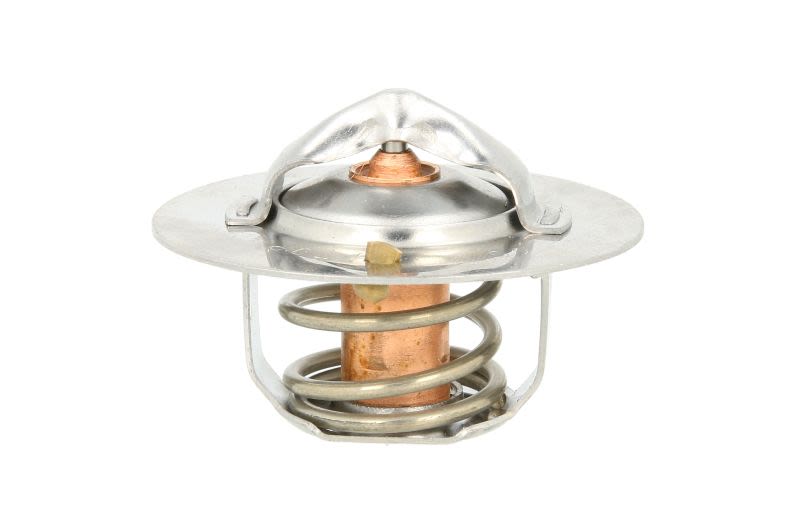 Termostat THERMOTEC D20301TT