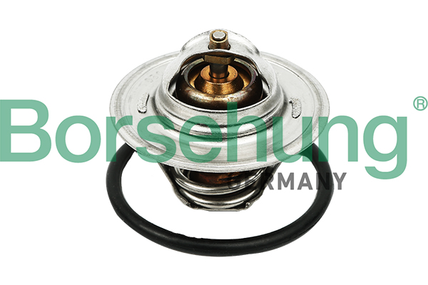 Termostat BORSEHUNG B13140