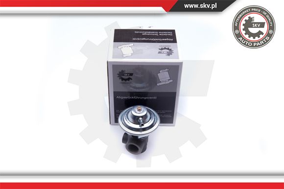 Zawór EGR ESEN SKV 14SKV187