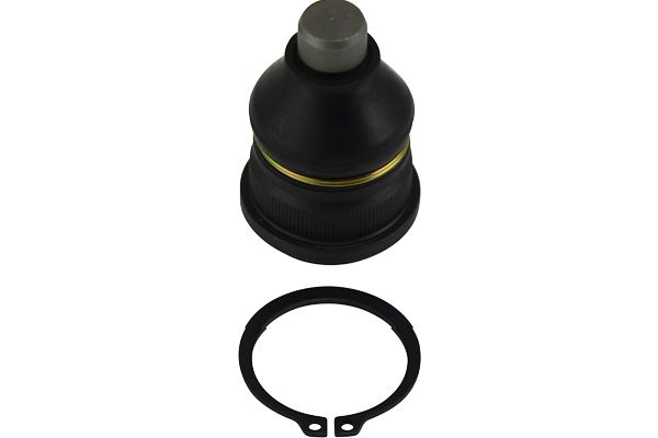 Sworzeń wahacza KAVO PARTS SBJ-6505