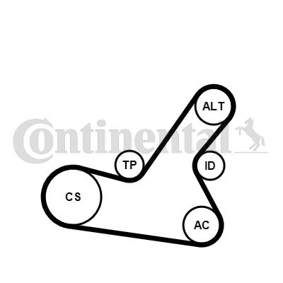 Zestaw paska osprzętu CONTINENTAL CTAM 6PK1564K2