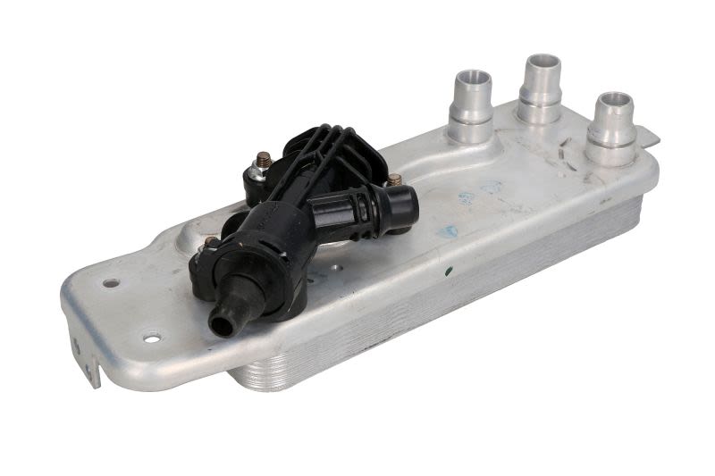 Chłodnica oleju automatycznej skrzyni biegów THERMOTEC D4B022TT