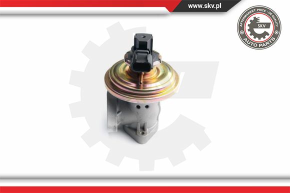Zawór EGR ESEN SKV 14SKV097