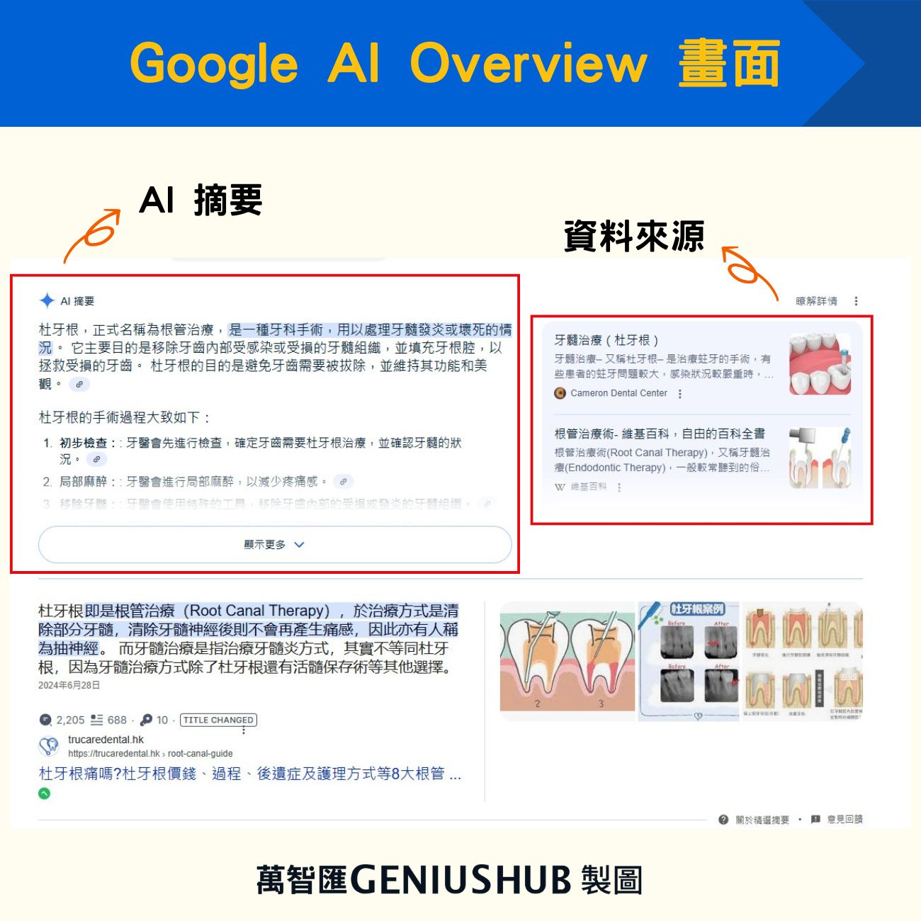 Google AI Overview 畫面
