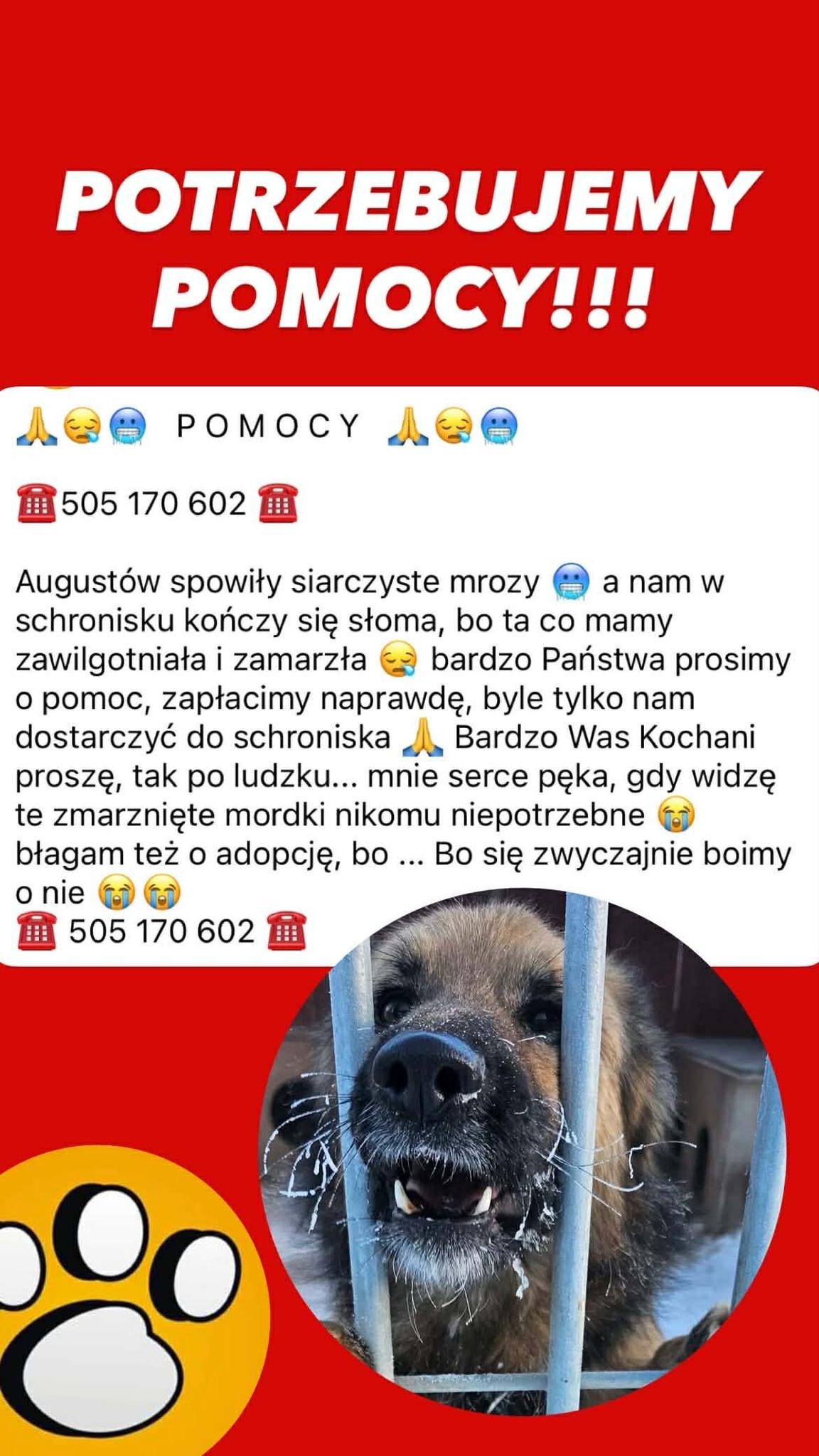 Zdjęcie 1