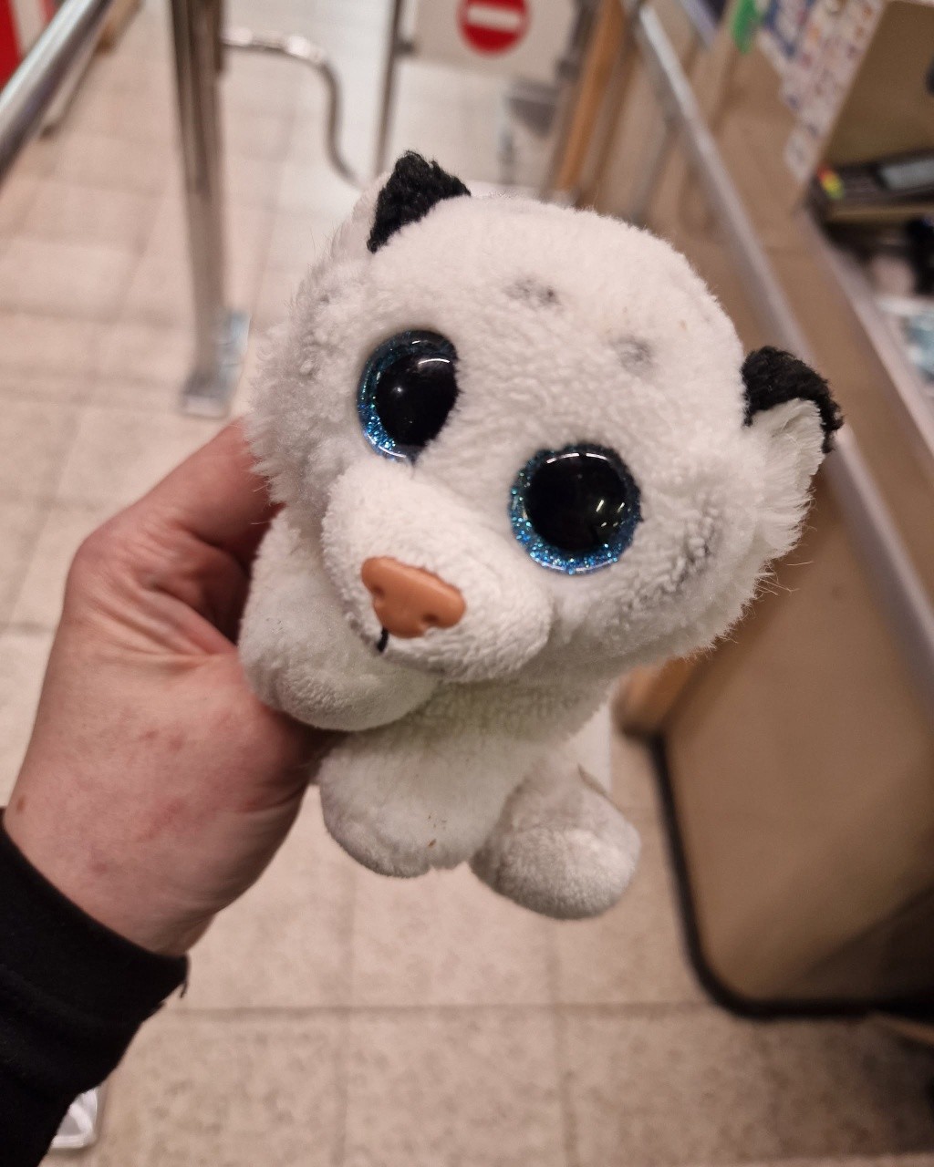 Witam. Znaleziono maskotkę (poniedziałek 20.04.) w Galerii Brama Mazur. Odbiór w sklepie Intermarche :)