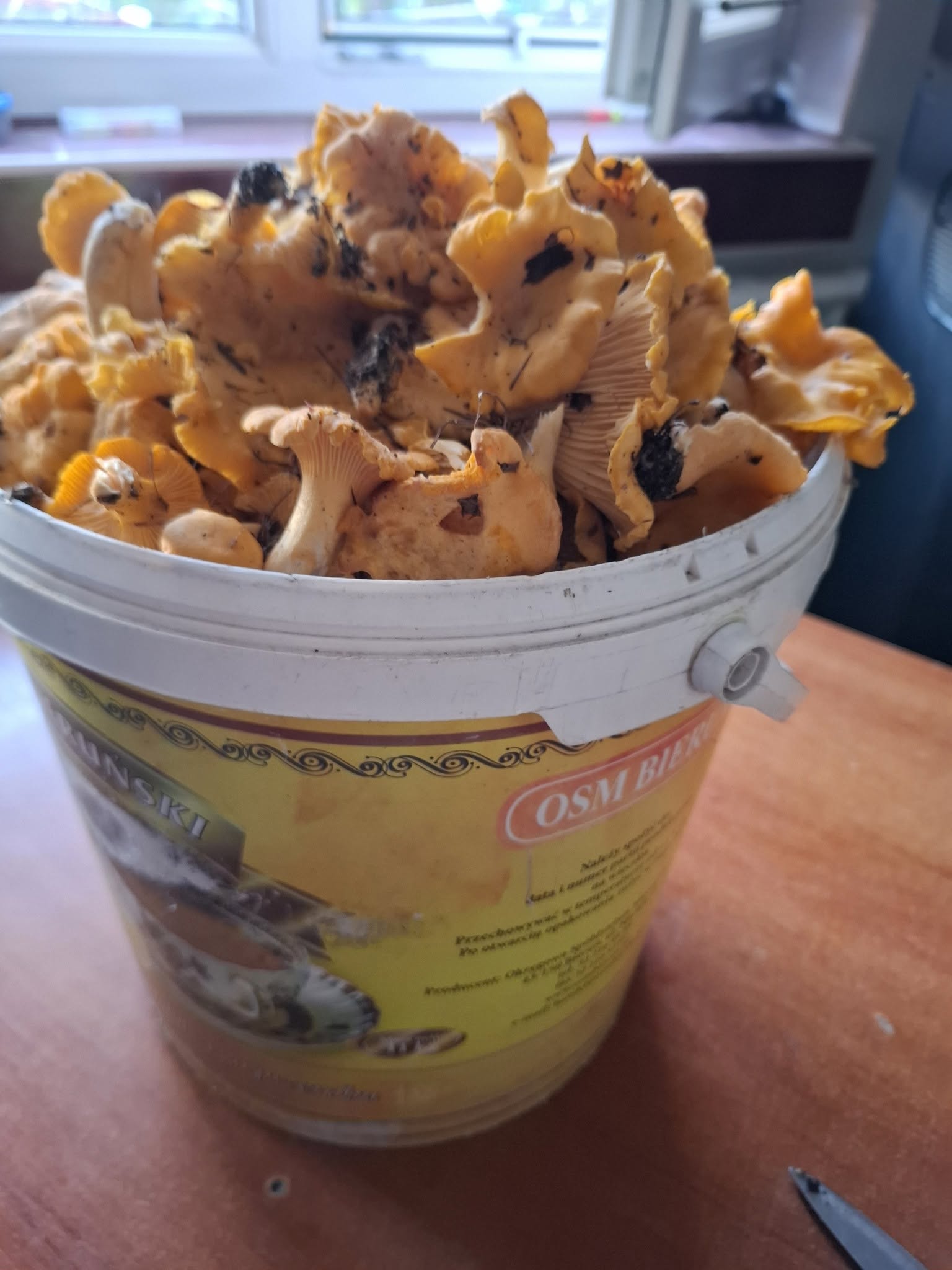 Sprzedam świeze kurki 30zł za 1kg
