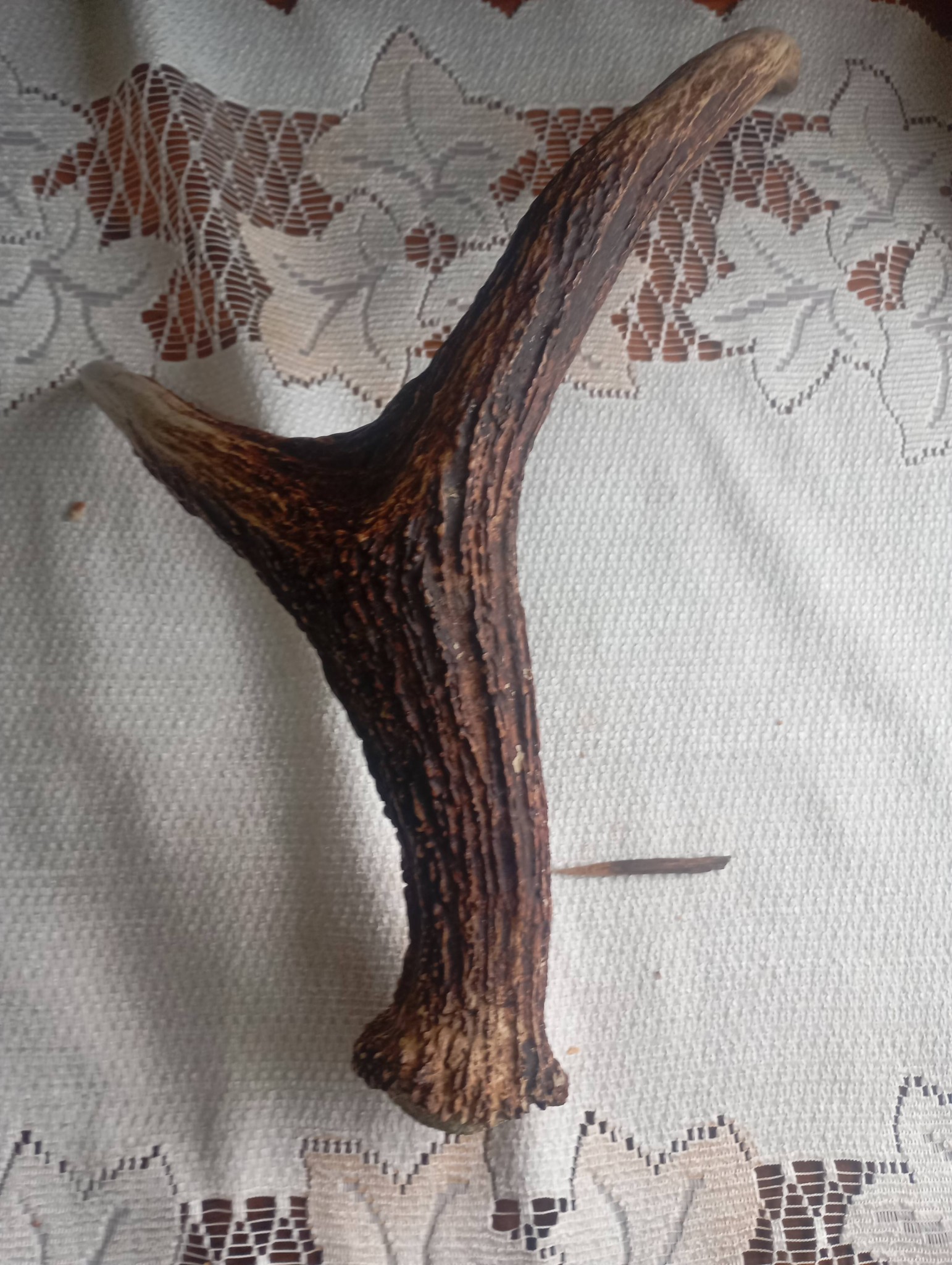 Witam sprzedam cena 120zl