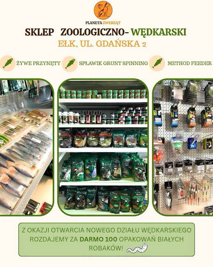 Z okazji otwarcia rozdajemy ZA DARMO 100 opakowań białych robaków. Kto pierwszy, ten łowi! 🪱

🎣 NOWY DZIAŁ WĘDKARSKI JUŻ OTWARTY!

W Planeta Zwierząt - Ełk  znajdziesz sprzęt do spławika, gruntu, spinningu i method feeder, a także żywe przynęty oraz szeroki wybór zanęt i akcesoriów.

📍 Planeta Zwierząt, Ełk, ul. Gdańska 2

Wpadnij dziś i odbierz darmową przynętę.

#SklepWędkarski #Wędkarstwo #DarmowePrzynęty #Ełk #Mazury