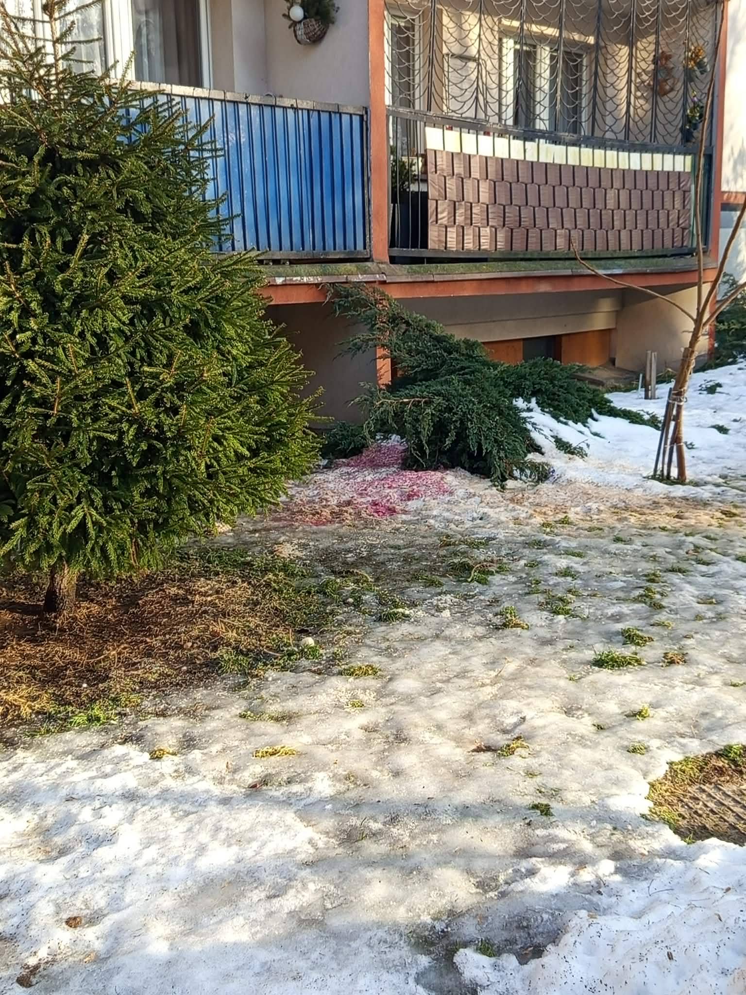 Zdjęcie ogłoszenia