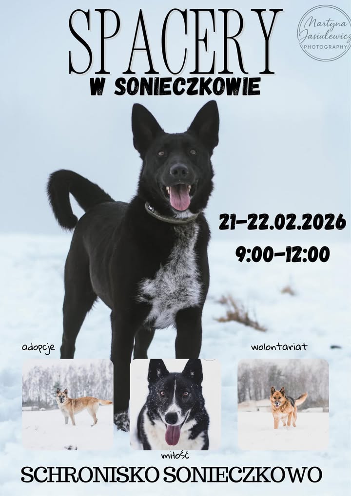 Spacery w Sonieczkowie <3