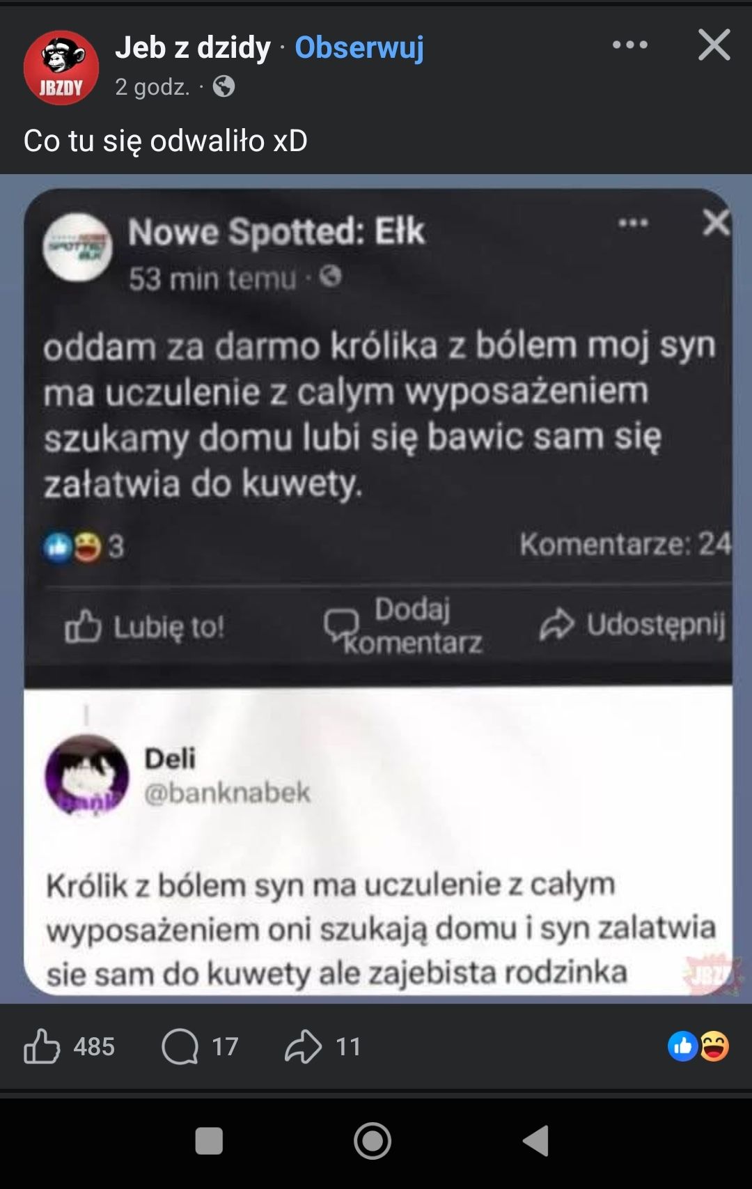 Zdjęcie 1
