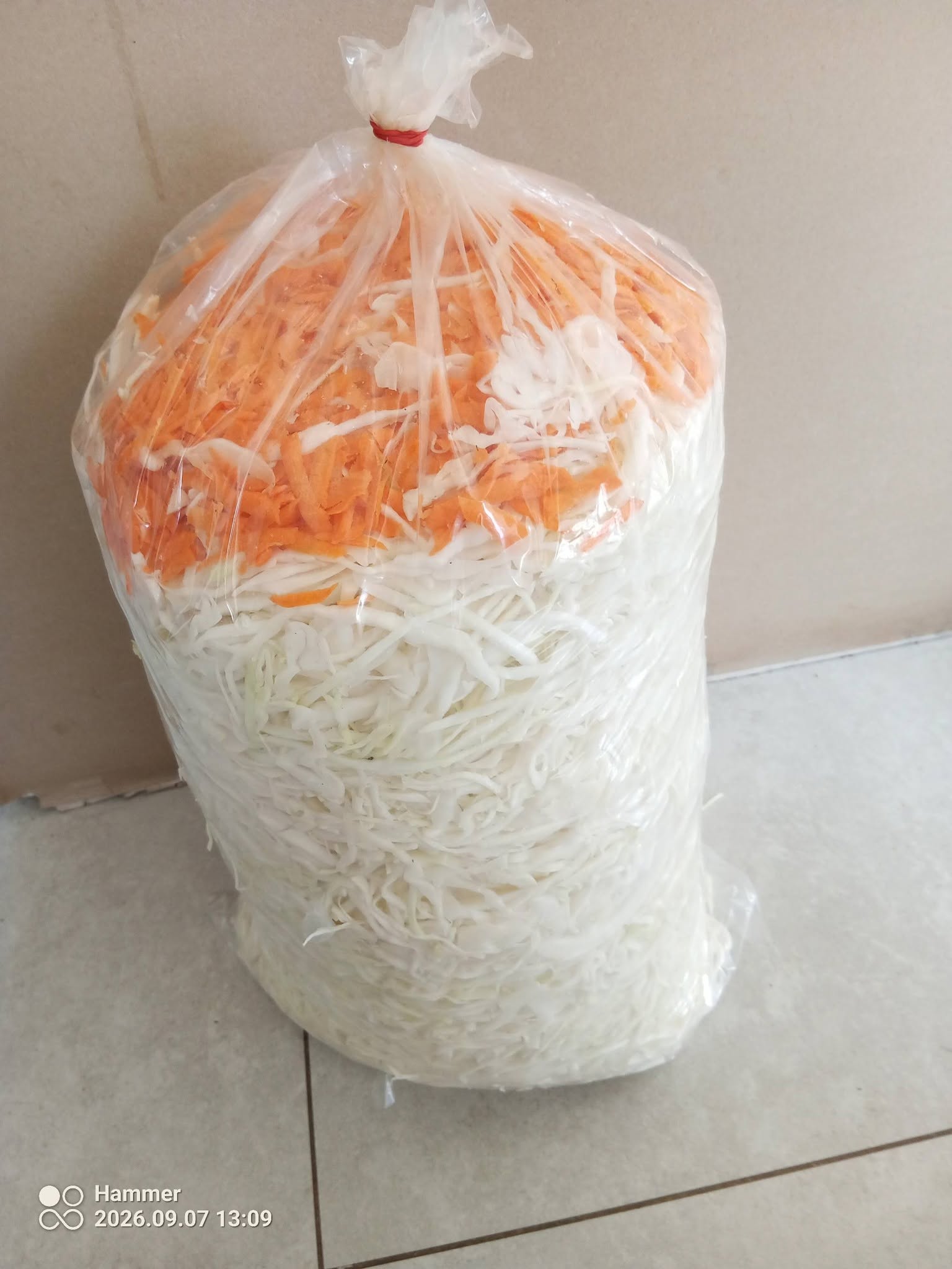 Witam posiadam w sprzedaży buraczki czerwone w cenie 30 zł za worek 10kg. Oraz ziemniaki Irga worek 15 kg. 30 zł.
Przyjmuje już zamówienia na kapustę szatkowaną zarówno do kiszenia jak i na surówki  

Szatkujemy tylko i wyłącznie na zamówienie.

Worek 10 kg. 45zł.

Zapraszam do kontaktu 

606159798

Witam posiadam w sprzedaży buraczki czerwone w cenie 30 zł za worek 10kg. Oraz ziemniaki Irga worek 15 kg. 30 zł.