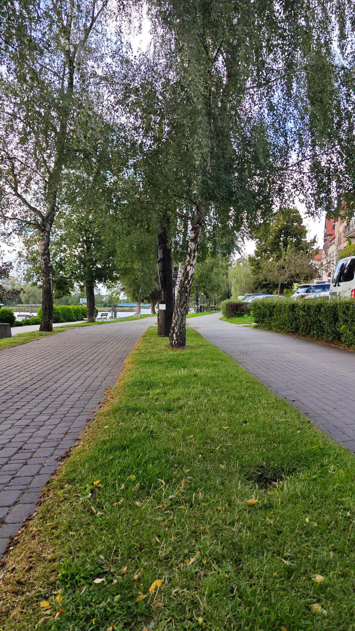 Gdzie Wy do licha wszyscy jesteście? 😆
Jesień 🍂🍁 tak oficjalnie?! 🤨