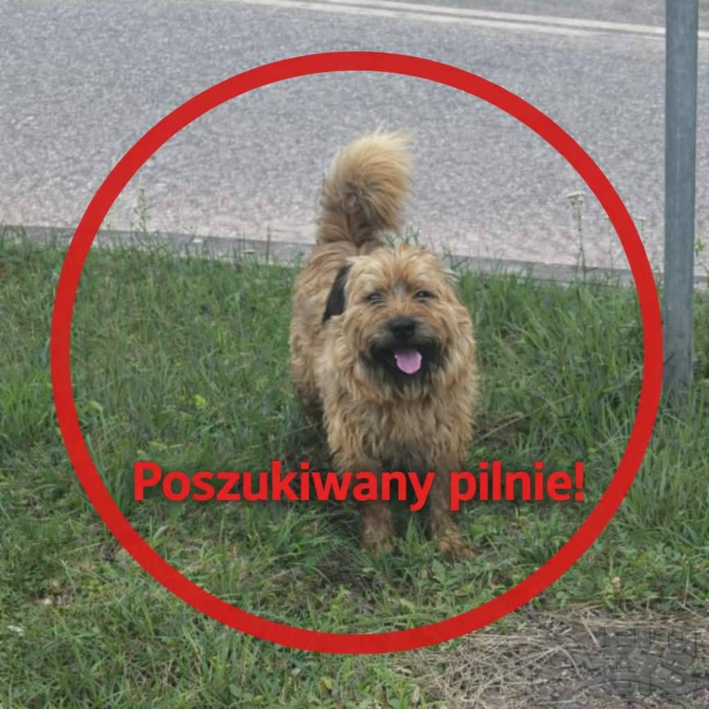 Zdjęcie 2