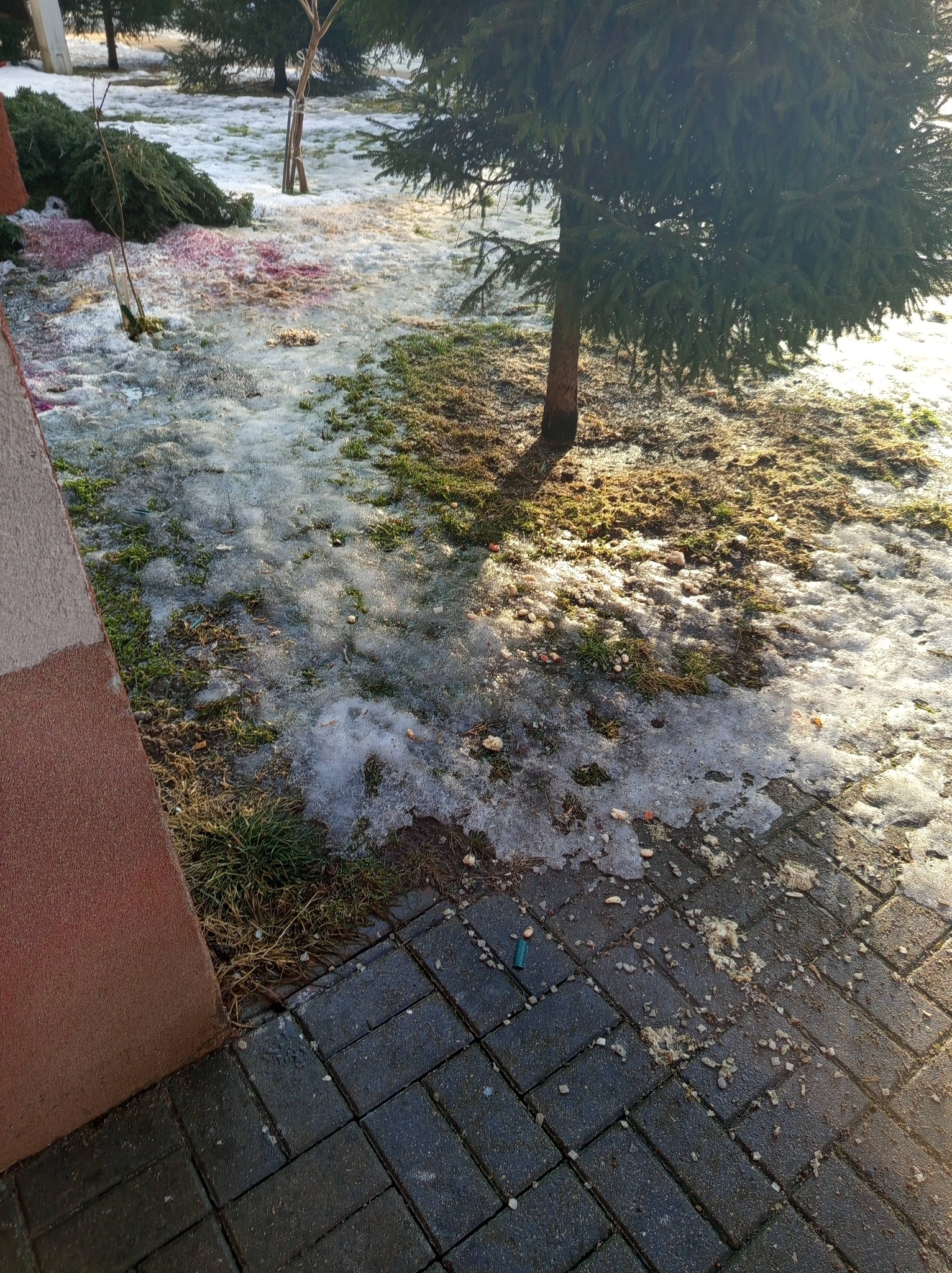 Konieczki! Pod blokiem przy ul.  Grota Roweckiego 4. Od kilku miesięcy jeden z mieszkańców notorycznie wyrzuca odpady żywnościowe pod balkon. Ja się pytam po co?? Niedojedzone zupy, sałatki, makarony! Dzisiaj widziałam pasące się tam 2 szczury. Niestety nie zdążyłam wyjąć telefonu 🤦
with 2 Attachments: