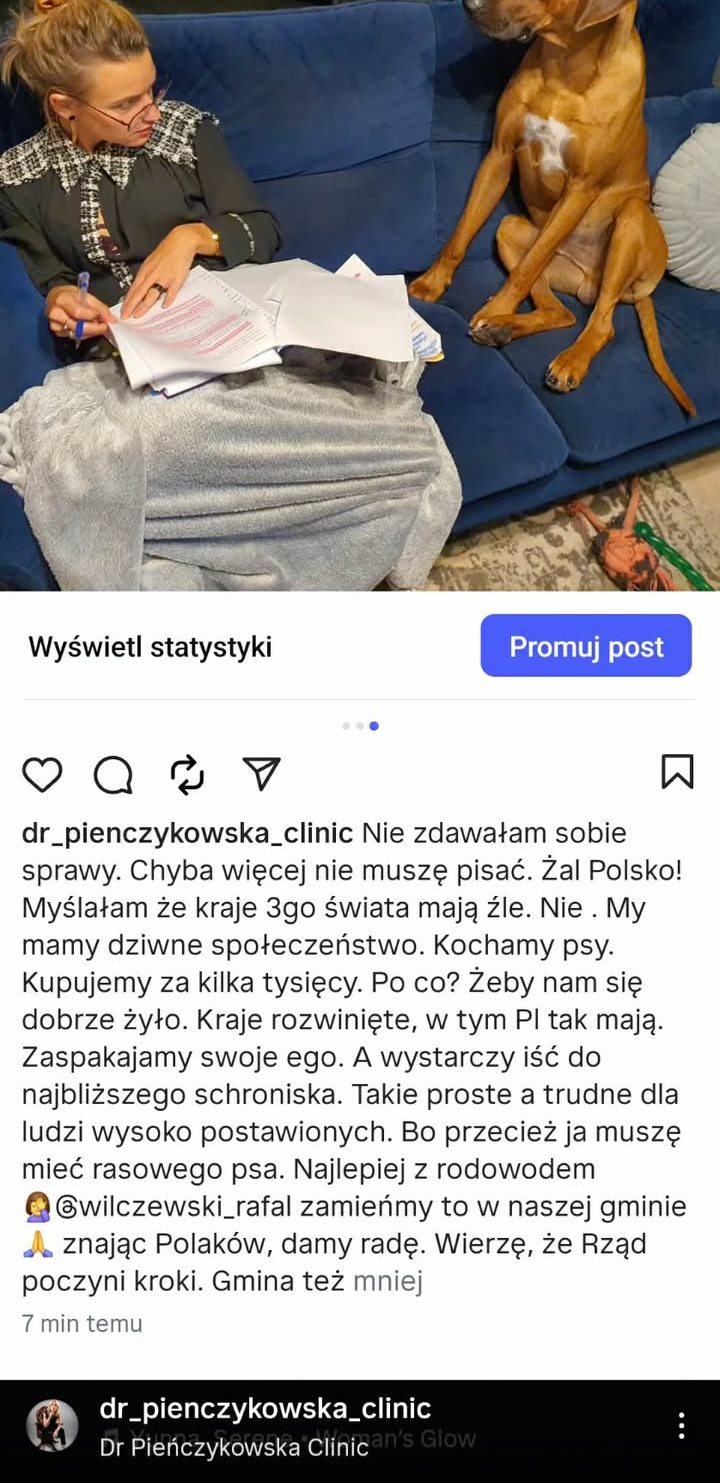 Zdjęcie 1