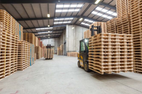Epal Euro Wooden Pallets Global Wholesale Supplier in Europe