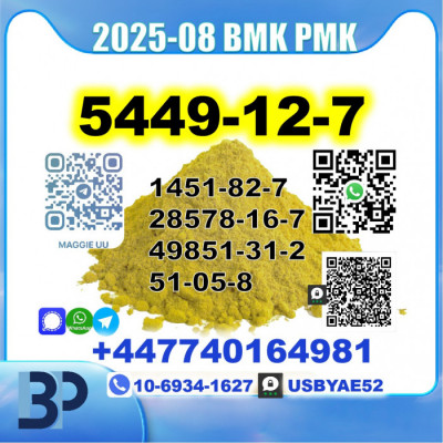 BMK glycidic acid 5449-12-7 PMK Source factory