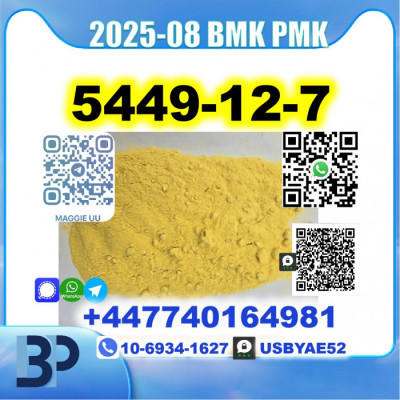 BMK glycidic acid 5449-12-7 PMK Source factory