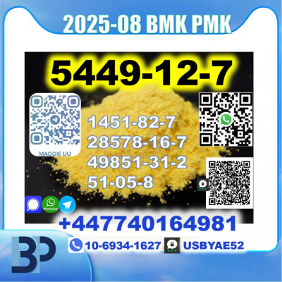 BMK glycidic acid 5449-12-7 PMK Source factory