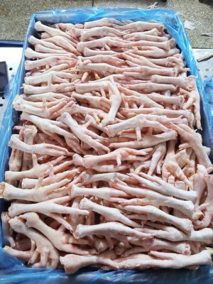 Wholesale Suppliers Premium Quality Halal Frozen Chicken Feet