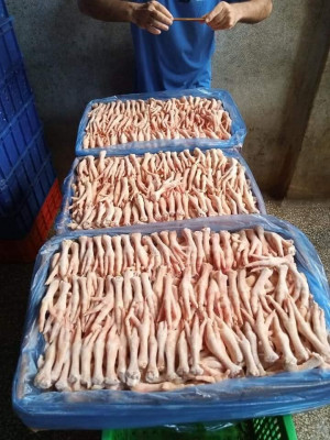 Wholesale Suppliers Premium Quality Halal Frozen Chicken Feet