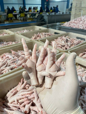 Wholesale Suppliers Premium Quality Halal Frozen Chicken Feet