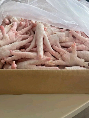 Wholesale Suppliers Premium Quality Halal Frozen Chicken Feet