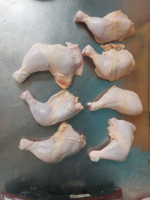 Frozen bonless Chicken Breast Wholesale Suppliers