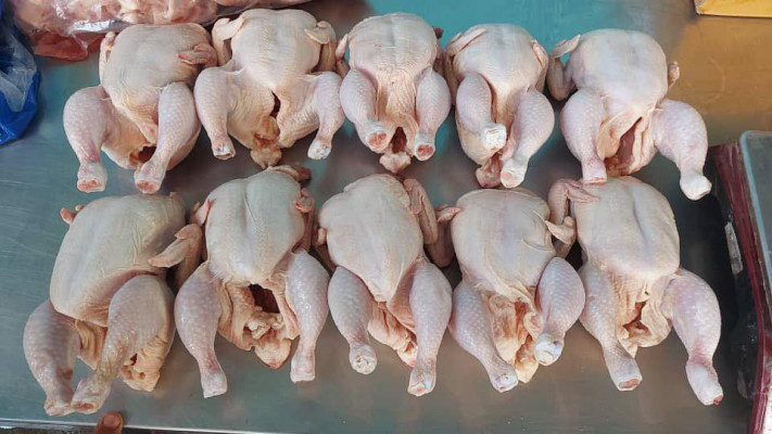 Frozen bonless Chicken Breast Wholesale Suppliers