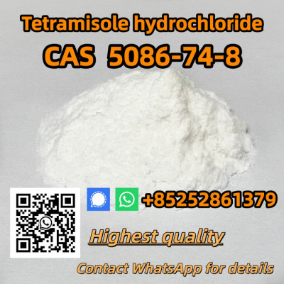 Tetramisole Hydrochloride  Cas 5086-74-8