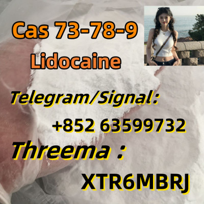 CAS 73-78-9 99% Lidocaina Hydrochloride With Big Discount