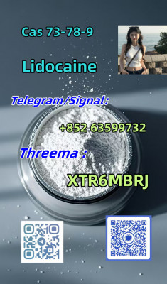 BDO GHB GBL Phenacetin 62-44-2 CAS 73-78-9 Lidocaine hcl