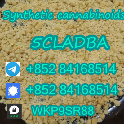 5cladba 5F-MDMB-PICA Precursor adbb 5cl adb  Raw Material