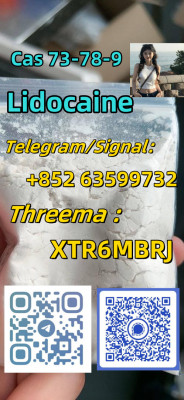CAS 137 - 58 - 6 73 - 78 - 9 Lidocaine white powder supplier