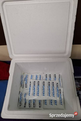 Polecam BOX Chłodziarka z Wkładami na Suchy lód Super na Wyjazdy