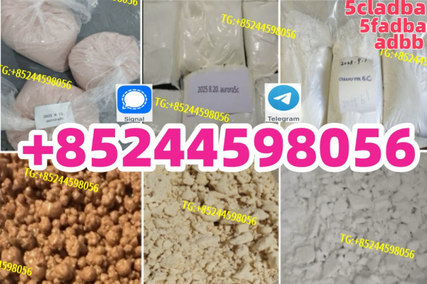 5cladba adbb raw material 5CL-ADB-A precursor raw  5cladba 5f adb