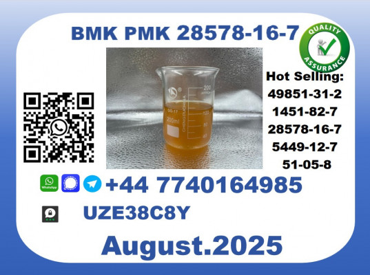 CAS 28578-16-7 BMK PMK Certified Factory Supply