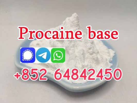 CAS59-46-1 Procaine base Procaine powder Procaine supplier